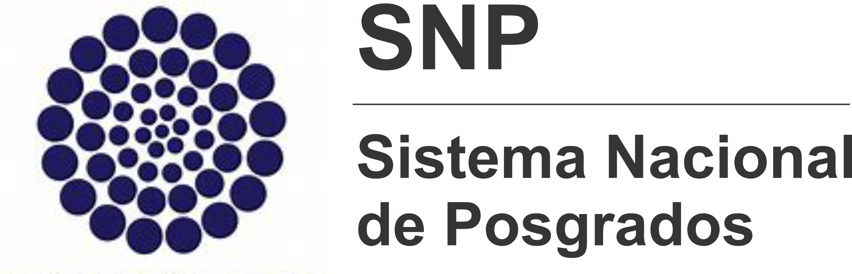 SNPosgrados 2