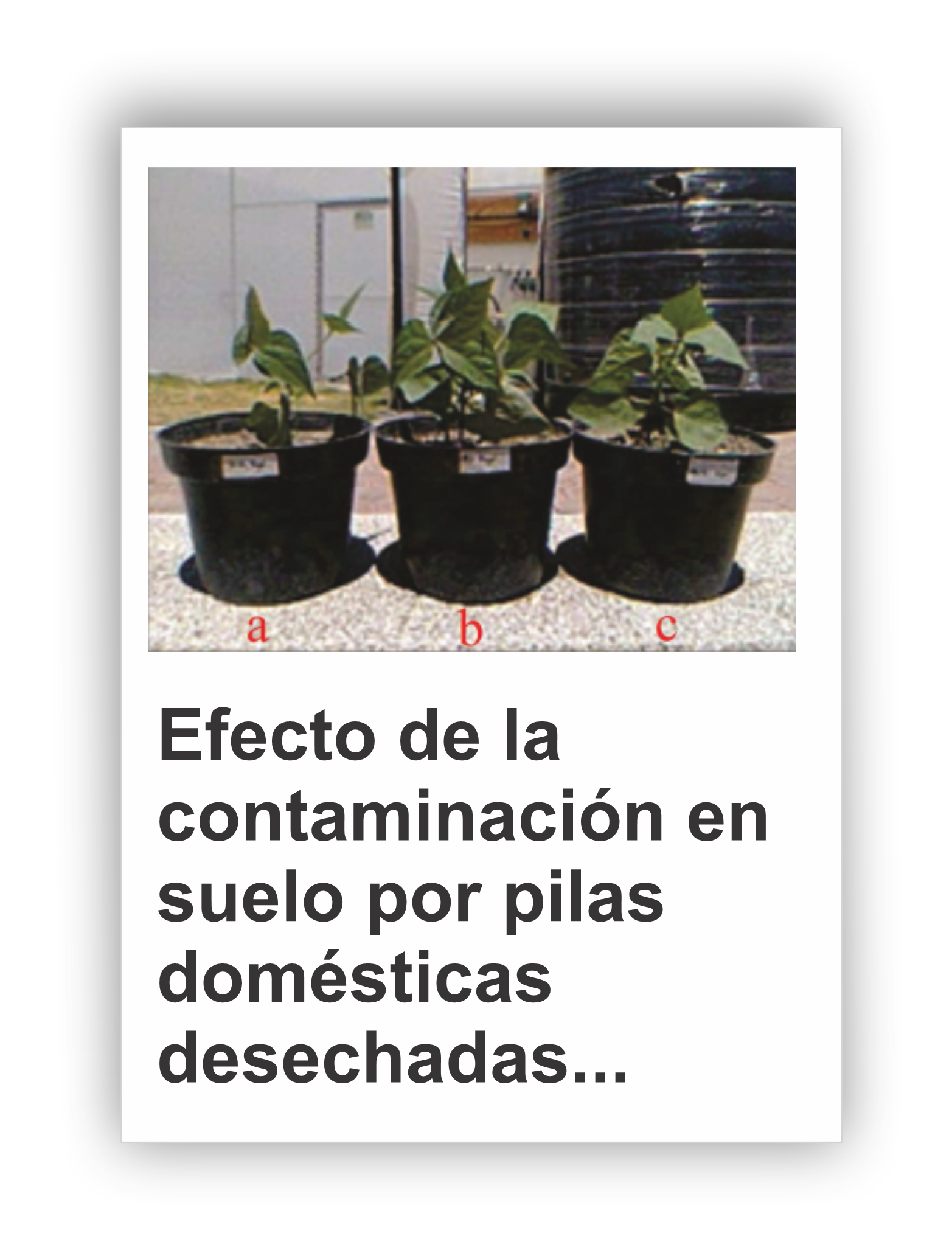 Destacados 1 vertical 4